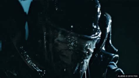 alien movie gif